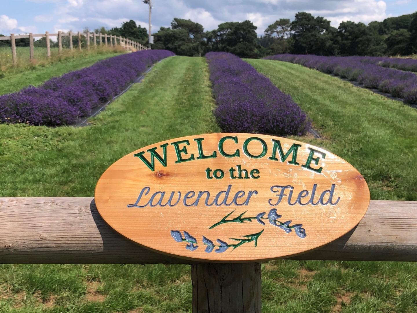 Parc Dieu Farm Lavender Field